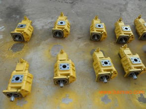 專業雙聯齒輪油泵選購指南 廠家、型號、質量與價格全解析